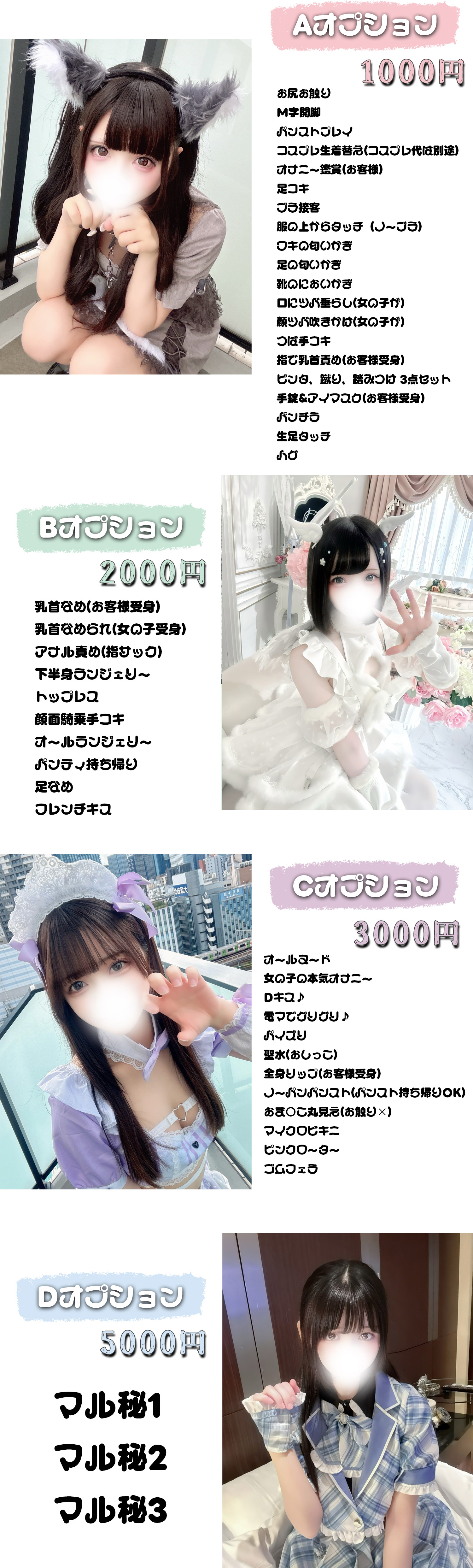 ハンドメイド：オプション価格画像